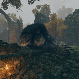File:MistwoodRunebear-325x325.png