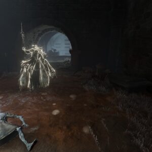 File:Radahn-Soldier-Ashes-300x300.jpg