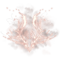File:4 Radiant Rune of Rot-120x120.png
