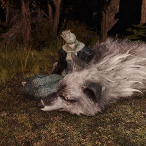 File:NPC-Latenna-Slumbering-Wolfs-Shack-1-300x300.jpg