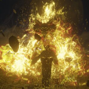 File:Frenzied-Burial-Watchdog-Imaplers-Catacombs-300x300.jpg