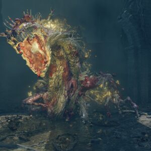 File:Ulcerated-Tree-Spirit-Stormveil-Castle-300x300.jpg