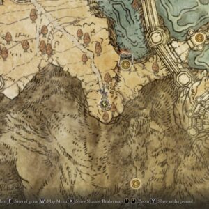 File:Erdtreeguardians1-300x300.jpg