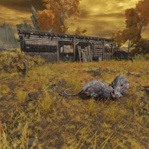 File:Giant-Rat-Ashes-Location-300x300.jpg