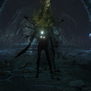 File:Kindred-of-Rot-Ashes-Caelid-Catacombs-Location-300x300.jpg