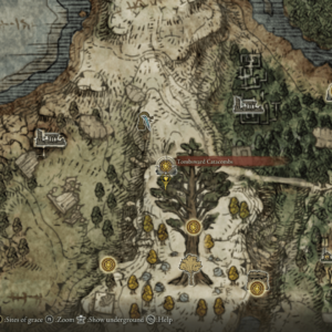 File:Necro2 rune location-300x300.png