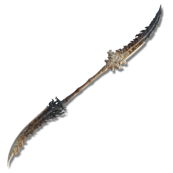Euporia