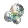 Thumbnail for version as of 02:28, 27 May 2026