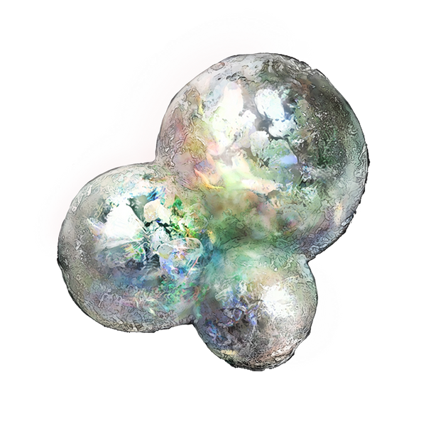 File:Opaline hardtear.png
