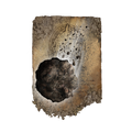 Thumbnail for version as of 01:24, 29 May 2026