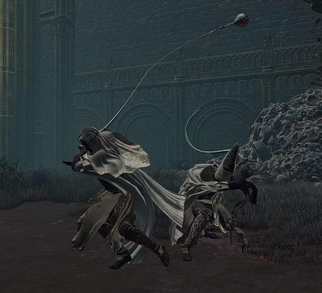 File:Sellia-duo-Boss-Fight-pic.png