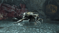 Thumbnail for version as of 19:56, 22 May 2026