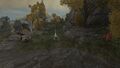 Thumbnail for version as of 19:43, 22 May 2026