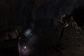 Thumbnail for version as of 19:54, 22 May 2026