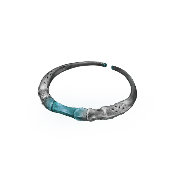 File:CarianSilverSteed.png