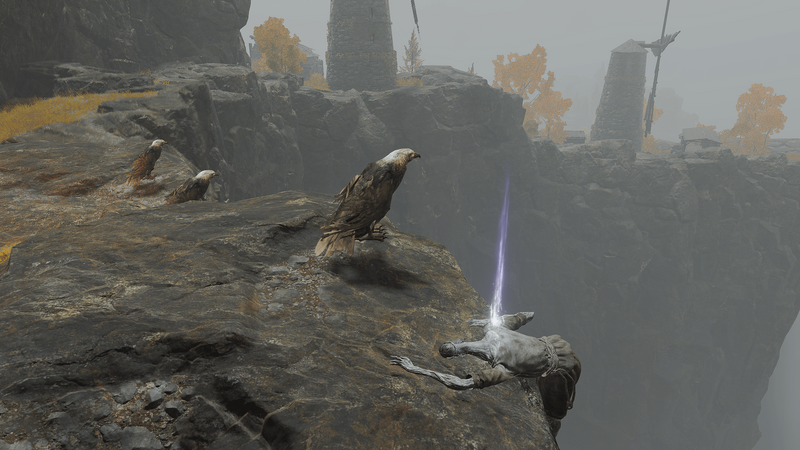 File:Celebrants skull ingame.png