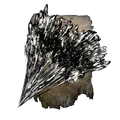 Thumbnail for version as of 01:51, 29 May 2026