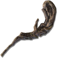 Thumbnail for version as of 19:36, 22 May 2026