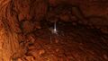 Thumbnail for version as of 19:55, 22 May 2026
