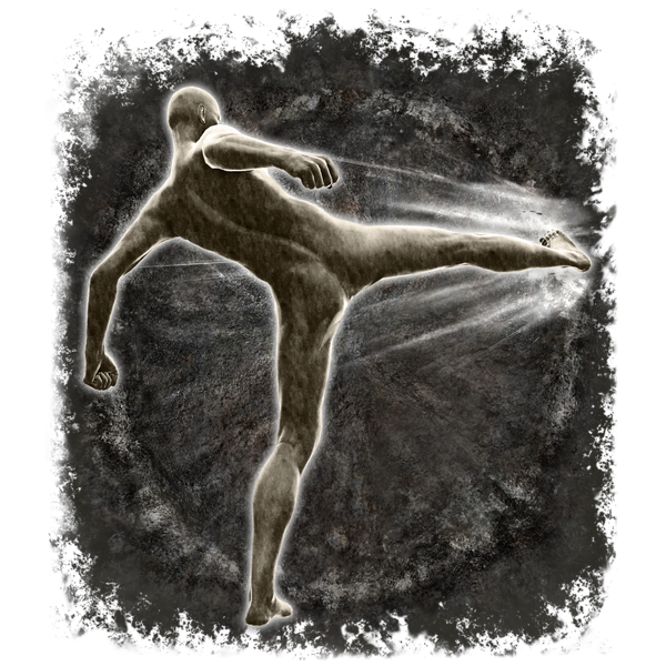 File:Ash of war kick.png