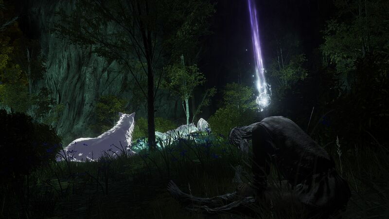 File:White reed set2.jpg