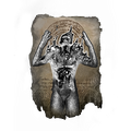 Thumbnail for version as of 01:25, 29 May 2026