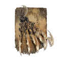 Thumbnail for version as of 01:51, 29 May 2026
