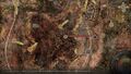 Thumbnail for version as of 19:42, 22 May 2026