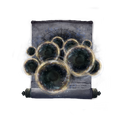 Thumbnail for version as of 15:28, 17 June 2026