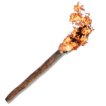 Beast-Repellent Torch