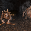 Thumbnail for version as of 19:36, 22 May 2026