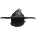 Thumbnail for version as of 19:44, 22 May 2026