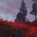 Thumbnail for version as of 19:41, 22 May 2026