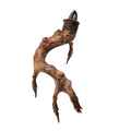 Thumbnail for version as of 17:15, 29 May 2026