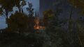 Thumbnail for version as of 15:29, 29 May 2026