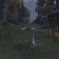 Thumbnail for version as of 19:37, 22 May 2026