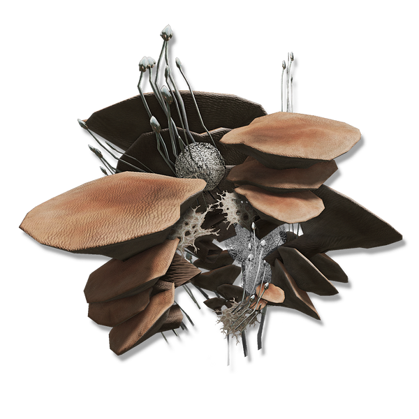 File:Mushroom head.png