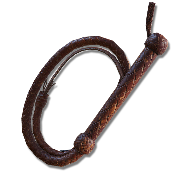 File:Whip.png