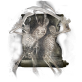 Thumbnail for version as of 01:52, 29 May 2026
