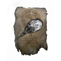 Thumbnail for version as of 01:25, 29 May 2026