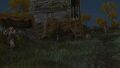 Thumbnail for version as of 19:41, 22 May 2026
