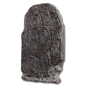 Fingerprint Stone Shield