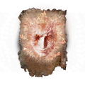 Thumbnail for version as of 01:24, 29 May 2026