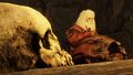 Thumbnail for version as of 19:28, 22 May 2026