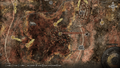 Thumbnail for version as of 19:56, 22 May 2026
