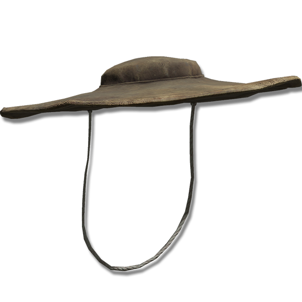 File:Danes hat.png