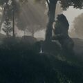 Thumbnail for version as of 19:51, 22 May 2026