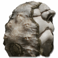 Thumbnail for version as of 19:40, 22 May 2026