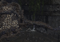 Thumbnail for version as of 19:51, 22 May 2026