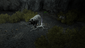 Thumbnail for version as of 19:56, 22 May 2026